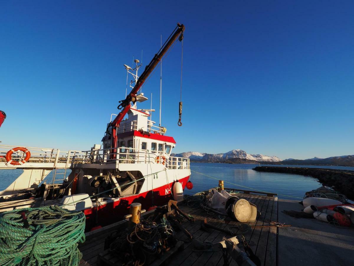 Steinbakk - Vestresand Lofoten Bostad Extérieur photo